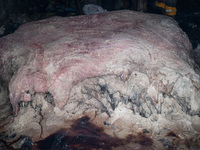 Rawhide is stored with raw salt in the factory. On July 22, 2021 in Dhaka, Bangladesh. (
