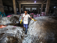 Tannery workers applying salt on the rawhide that has been collected by sacrificed cattles on Eid Al Adha as part of preservation in Savar t...