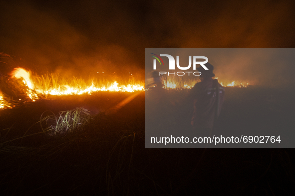 Officers from Manggala Agni Daops Banyuasin extinguish peatland fires in Ibul 1 Village, Pemulutan District, Ogan Ilir Regency, Sunday, July...