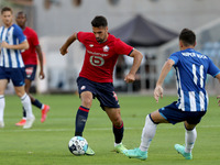 Benjamin Andre of Lille OSC (L) vies with Pepe of FC Porto during the pre-season friendly football match between FC Porto and Lille OSC at t...