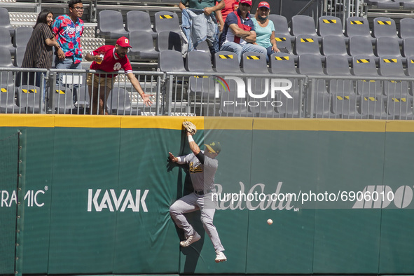 David Olmedo #6 of the Pericos de Puebla try catch the ball  during the match of the Mexican Baseball League game between Diablos Rojos and...