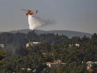 A firefighting helicopter douses a wildfire in the area of Stamata, in north-eastern Athens, Greece, 27 July 2021. (