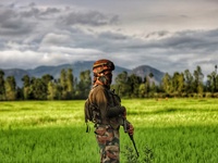 Indian army soldier stands alert after Militants lobbed a Grenade towards police party at Drusoo area of Rafiabad in north Kashmir's Baramul...
