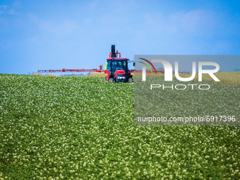 A tractor is working on the potato field in Gac village near Lancut, Podkarpackie voivodeship in Poland on July 6th, 2021. (