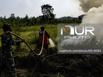 Members of the Regional Disaster Management Agency (BPBD) Ogan Ilir and members of the Indonesian National Army extinguish peatland fires in...