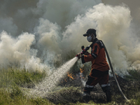 Members of the Regional Disaster Management Agency (BPBD) Ogan Ilir extinguish peatland fires in Palem Raya Village, Ogan Ilir Regency, Sout...