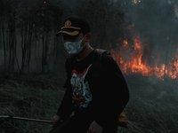 Firefighter tries to extinguish peatland fire at in Ogan Ilir,South Sumatera, Indonesia on July 31, 2021.  (