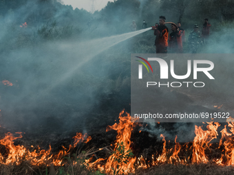 Firefighter tries to extinguish peatland fire at in Ogan Ilir,South Sumatera, Indonesia on July 31, 2021.  (