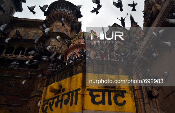 Pigeons fly over the Darbhanga Ghat during rains,on the banks of River Ganges,in Varanasi on July 16,2015. 