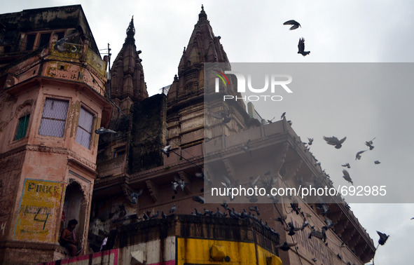 An indian man feeds pigeons during rains at Darbhanga Ghat,on the Banks of River Ganges,in Varanasi on July 16,2015. 