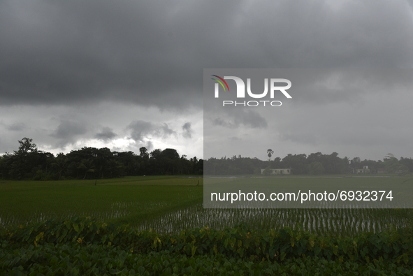 Dense clouds can be seen over an agricultural field in Udaynarayanpur, Howrah district of West Bengal, India, 04 August, 2021.  