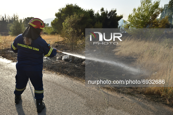 A firefigther sparys water to contain a wildfire in the northern suburb of Athens Varimpompi, on August 4, 2021. 