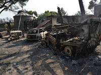 Vehicles are destroyed in the yard of burned down equestrian club building by the wildfire in the northern suburb of Athens Varimpompi, on A...