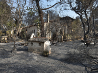 A house is   destroyed  by the wildfire in the northern suburb of Athens Varimpompi, on August 4, 2021. (