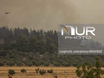 Wildfire in Kehries, Greece, in Evia island, on August 5, 2021. -At least 150 houses have been destroyed by a raging fire that surrounded a...