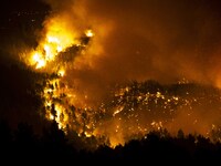 Forest fire in the Kourkouli village, in Evia, Greece, on August 5, 2021.  People were evacuated from their homes after a wildfire reached r...