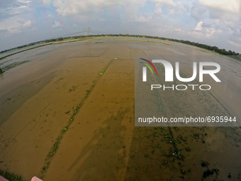 The Farmer land   submerged by floodwaters  following heavy monsoon rains and Flood in the Ghatal area of Paschim Medinipur district ,about...