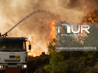 Firefighter on top of a fire truck fights with flames. A massive force of firefighters from Greece and other European countries are fighting...