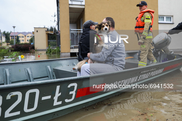 A man with a dog is swimming with firefighters on a boat after streets and households areas of Bierzanow district were flooded with heavy ra...
