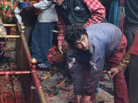 Hindu man sacrifices a goat to the Goddess Kali at the Dakshinkali Temple in Nepal, on December 13, 2011. Dakshinkali Temple is located abou...