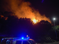 The flames of a vast fire, which broke out on Mount San Martino from 12.00 am on 12 August, in the evening between 12 and 13 the flames reac...