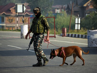 An Indian army soldier walks on the highway near the site of encounter in south Kashmir's Kulgam area, India on August 13, 2021. Inspector G...