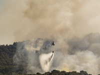 A firefghting helicopter operates during a wildfire burns a forest about 55 kilometers (34 miles) south of Athens, Greece, Monday, Aug. 16,...