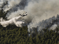 An aircraft of the fire brigade battles to extinguish a wildfire in the area of Villia north-western of Athens, Greece, 17 August 2021. (