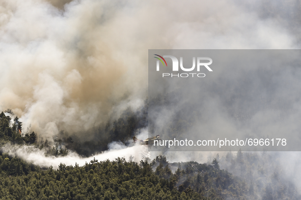 Firefighter aircraft operates during a wildfire in the area of Villia north-western of Athens, Greece, 17 August 2021. 