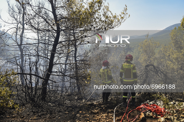 Firefighters operates during a wildfire in the area of Villia north-western of Athens, Greece, 17 August 2021. 