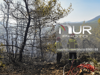 Firefighters operates during a wildfire in the area of Villia north-western of Athens, Greece, 17 August 2021. (