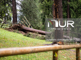 Storm damage with fallen trees in a park on July 26, 2021 in Bergamo, Italy. (