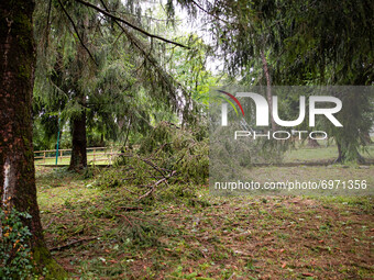 Storm damage with fallen trees in a park on July 26, 2021 in Bergamo, Italy. (