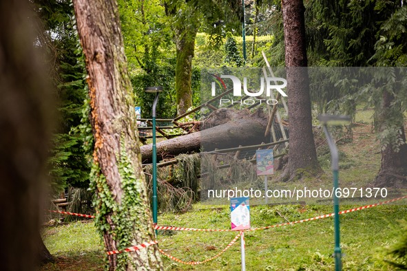 Storm damage with fallen trees in a park on July 26, 2021 in Bergamo, Italy. 