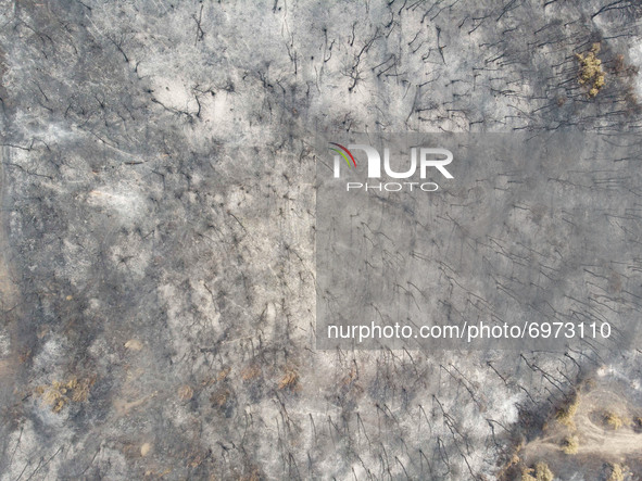 Panoramic aerial bird's eye view of a drone shows devastating aftermath of wildfires in Evia island in Greece after the fire that lasted alm...