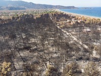 The forest near Agia Anna burned. Panoramic aerial bird's eye view of a drone shows devastating aftermath of wildfires in Evia island in Gre...