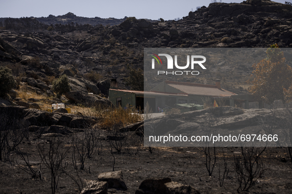 The fire in the province of Ávila started in the town of Navalacruz and has burned around 22,000 hectares with a perimeter of 130 kilometers...