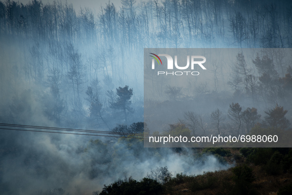 A burnt landscape, at the Vilia wildfire near Athens.  On August 23rd, in 2021 in Vilia, Attica (Athens), Greece. 