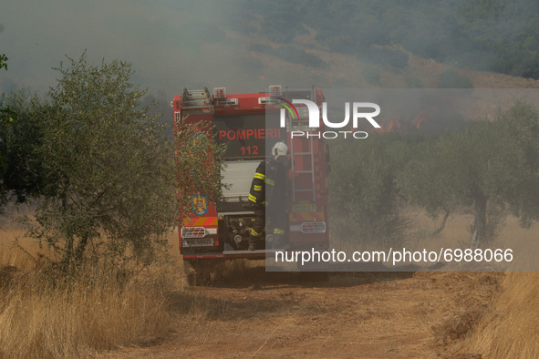 Romanian firefighters at the Vilia wildfire.  On August 23rd, in 2021 in Vilia, Attica (Athens), Greece. 