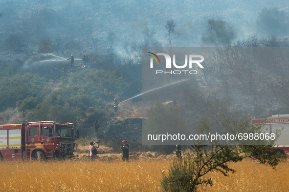 Greek and Romanian firefighters guarding Profitis Ilias village, during the Vilia wildfire.  On August 23rd, in 2021 in Vilia, Attica (Athen...
