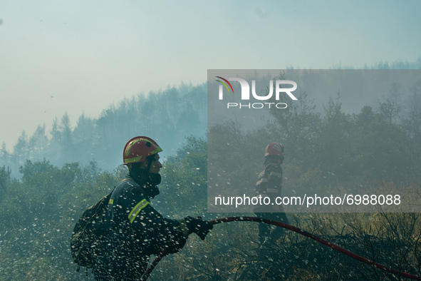 Firefighters trying to tame the flames at the Vilia wildfire.  On August 23rd, in 2021 in Vilia, Attica (Athens), Greece. 