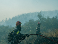 Firefighters trying to tame the flames at the Vilia wildfire.  On August 23rd, in 2021 in Vilia, Attica (Athens), Greece. (