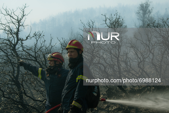 Firefighters trying to tame the flames at the Vilia wildfire.  On August 23rd, in 2021 in Vilia, Attica (Athens), Greece. 