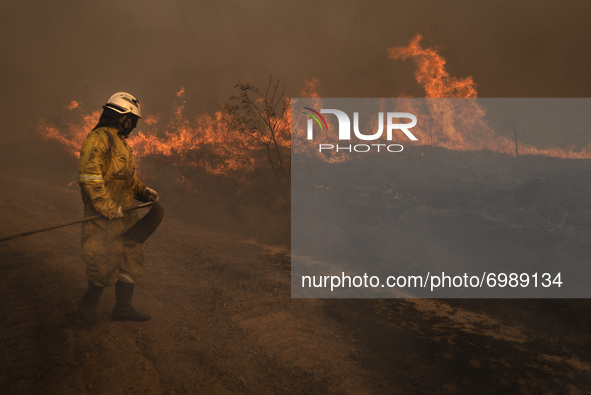 Firefighters, forest brigades, volunteers and Civil Defense agents struggle to contain the flames that consume out of control a large part o...