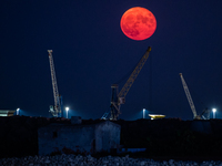 Blue Moon in the sky of Molfetta, Italy on August 23, 2021.
After the shooting stars of the night of San Lorenzo, the August sky gave anoth...