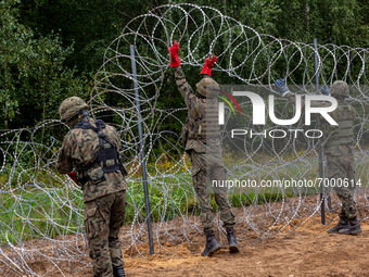 Polish Army Soldiers build a fence with concertina wire at the Belarusian border in order to stop immigrants from entering the country in Kr...