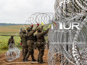 Polish Army Soldiers build a fence with concertina wire at the Belarusian border in order to stop immigrants from entering the country in Kr...
