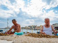 Two gentlemen break the shells and recover the almonds collected in the previous days, near the Port of Molfetta, Italy on August 28, 2021....