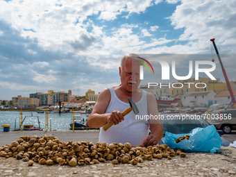 A gentleman breaks the shells and retrieves the almonds collected in the previous days, near the Port of Molfetta, Italy on August 28, 2021....