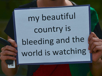 A protester holds a placard that reads 'My beautiful country is bleeding and the world is watching'.
Members of the local Afghan diaspora, a...
